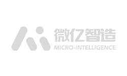 Micro intelligence w