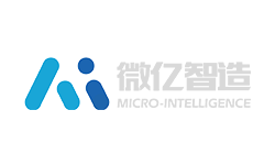 Micro intelligence