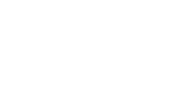 Pidan W