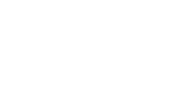 TJZ W